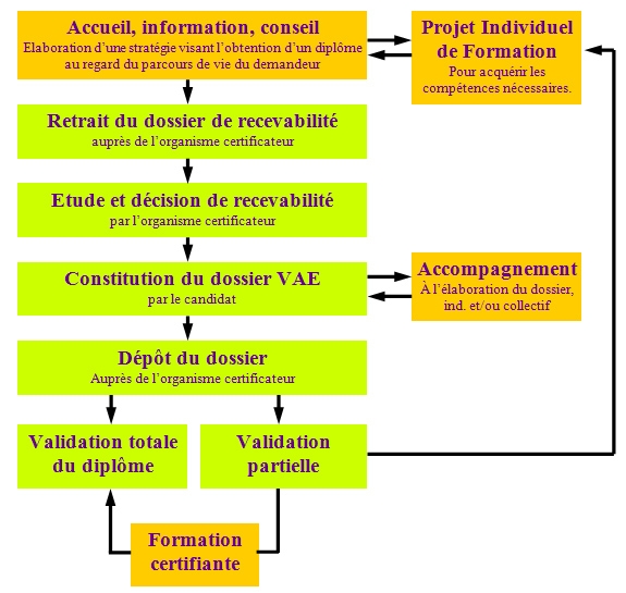 vae